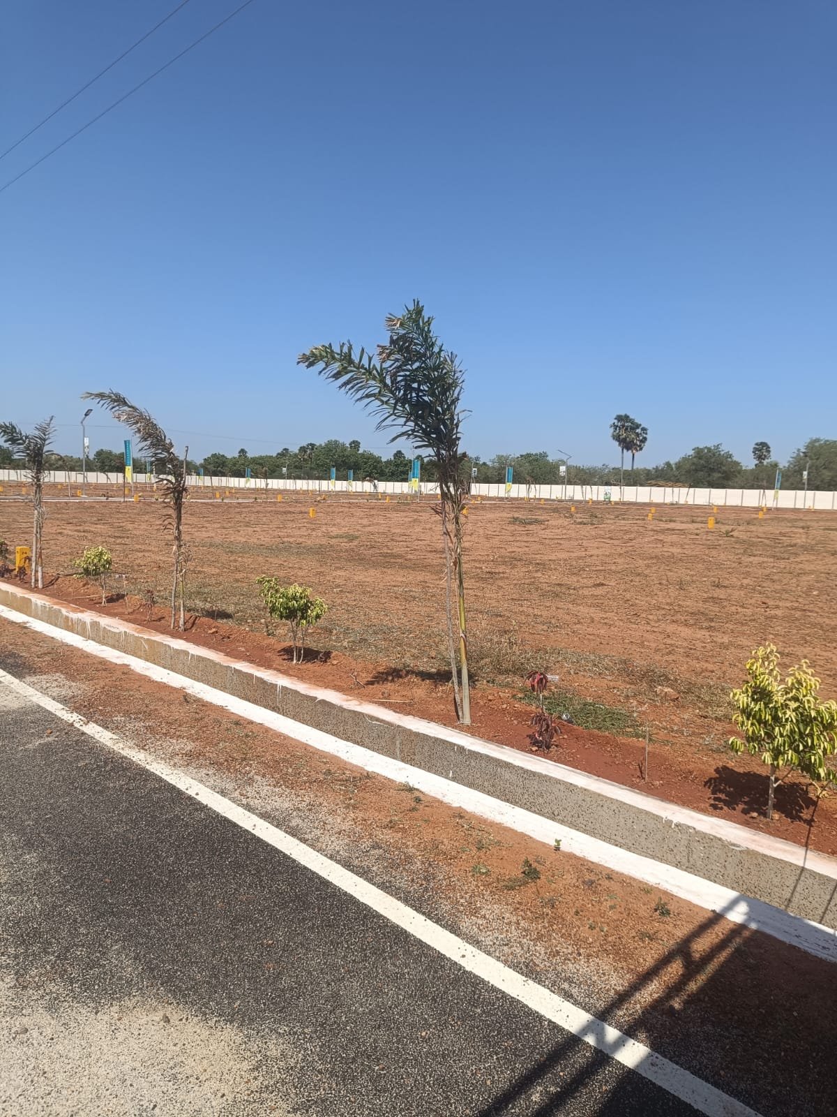 Eden Gardens site